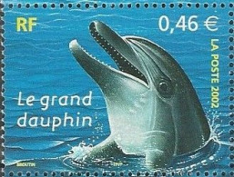 France 2002 (MNH) (Mi 3623) -  Common Bottlenose Dolphin  (Tursiops Truncatus) - Dauphins