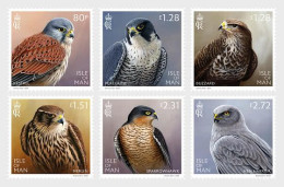 Isle Of Man / Man - Postfris / MNH - Complete Set Birds Of Prey 2023 - Man (Ile De)