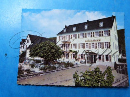 Hotel Mehn "Zum Niederberg" Lieser Mosel Bei Bernkastel-Kues 1970 - Alberghi & Ristoranti
