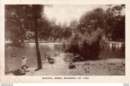 ARGENTINE  BUENOS AIRES  Palermo- Un Lago  ..... - Argentine