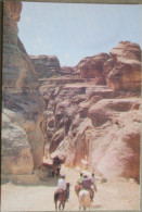 KINGDOM JORDAN DESERT PETRA RED MOUNTAINS ROCKS POSTCARD CARTOLINA KARTE CARTE POSTALE ANSICHTSKARTE CARD POSTKARTE - Jordania