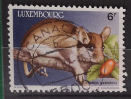 Luxemburg 1987 Nagetier Mi 1168/71° Gebraucht Nur Der Nager 1v Im Angebot - Usati