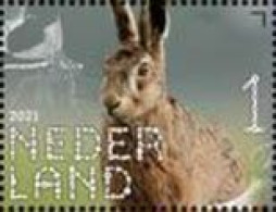 Netherlands 2021 (MNH) (Mi 4022) - European Hare (Lepus Europaeus) - Conejos