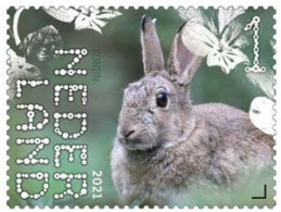 Netherlands 2021 (MNH) (Mi 4013) - Rabbit (Oryctolagus Cuniculus) - Hasen