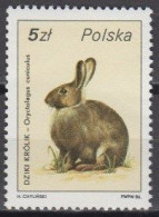 Poland 1986 (MNH) (Mi 3020) - European Rabbit (Oryctolagus Cuniculus) - Conejos