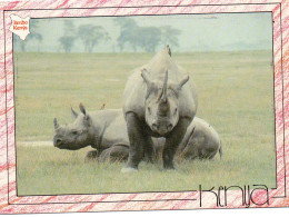 Rhinocéros Du Kenya - Neushoorn
