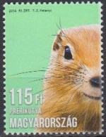 Hungary 2014 (MNH) Mi 5679 - Young Prairie Dog (Cynomys Sp.) - Rodents