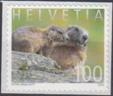 Switzerland 2020 (Mi 2658) - Alpine Marmot (Marmota Marmota) - Roedores