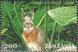Tanzania 1999 (MNH) (Mi 2959) - Patagonian Mara (Dolichotis Patagonum) - Rodents