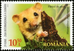 Roménia 2022 (MNH) (Mi) -  Hazel Dormouse Or Common Dormouse (Muscardinus Avellanarius) - Roedores