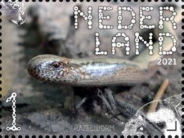 Netherlands 2021 (MNH) (Mi 3981) - Blindworm (Anguis Fragilis) - Schlangen