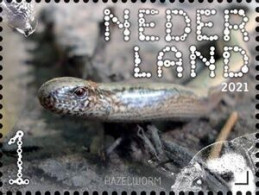 Netherlands 2021 (MNH) (Mi 3981) - Blindworm (Anguis Fragilis) - Serpents