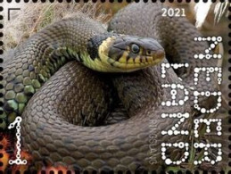 Netherlands 2021 (MNH) (Mi 3986) - Grass Snake (Natrix Natrix) - Snakes