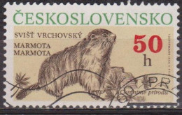 Faune - Protection De La Nature - TCHECOSLOVAQUIE - Marmotte - N° 2683 - 1990 - Gebraucht