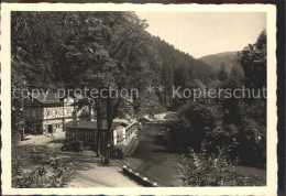 42196874 Kirnitzschtal Gasthof Lichtenhainer Wasserfall  Kirnitzschtal - Kirnitzschtal