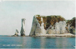 OLD HARRY ROCKS, SWANAGE, DORSET, ENGLAND.  UNUSED POSTCARD   H2 - Swanage