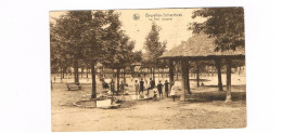 Schaarbeek Le Parc Josaphat - Schaerbeek - Schaarbeek