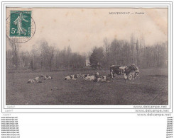 Cpa Réf-JP-O-960 ( Dép-95 à MONTSOULT  )  Paisibles Vaches ,dans La Prairie . - Montsoult