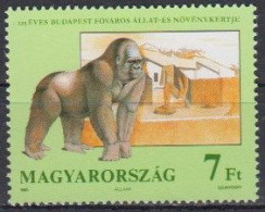 Hungary 1991 (Mi 4136A) - Gorilla (Gorilla Sp.) - Gorilles