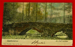 ST GENESIUS RODE - RHODE ST GENESE  - Septfontaines - Le Pont Rustique - 1904   - - St-Genesius-Rode