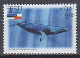 Estonia 2006 (MNH)  (Mi 569) - Common Minke Whale Or Northern Minke Whale (Balaenoptera Acutorostrata) - Baleines