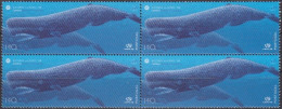 Açores 1998 - QUAD070 (MNH) (Mi 469) - Sperm Whale (Physeter Macrocephalus) - Baleines