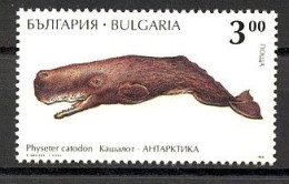 Bulgaria 1995(MNH) (MI 4159) - Sperm Whale (Physeter Macrocephalus) - Baleines