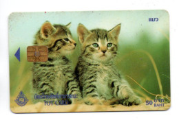 CHAT CAT Télécarte Puce Thaïlande  Phonecard  (R 769) - Chats