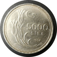 Monnaie Turquie - 1994 - 5000 Lira - Turquie