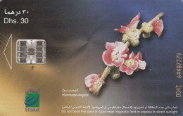 PHONE CARD EMIRATI ARABI (E53.19.3 - Emirati Arabi Uniti