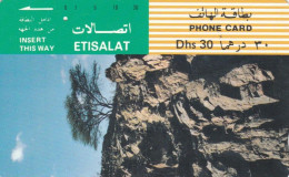 PHONE CARD EMIRATI ARABI (E53.18.1 - United Arab Emirates