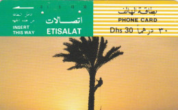 PHONE CARD EMIRATI ARABI (E53.16.6 - Emirati Arabi Uniti