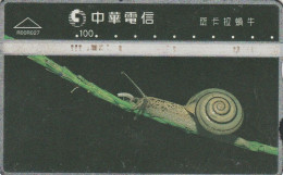 PHONE CARD TAIWAN (N.9.5 - Taiwan (Formose)