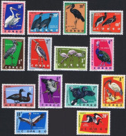 481/494** - Oiseaux Protégés / Beschermde Vogels / Geschützte Vögel / Protected Birds - CONGO - Ongebruikt