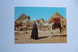 GIZA  -  The Sphinx And The Pyramids  -  EGYPTE -  EGYPT - Gizeh