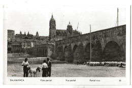 Salamanca Ou Salamanque (Espagne, Castilla-y-León) : Berger Et Ses Moutons Sous Le Pont En 1950 (animé) PF. - Salamanca