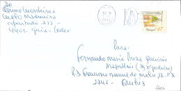 Portugal Cover NOSSA SENHORA DA CONCEIÇÃO Slogan Cancel - Lettres & Documents