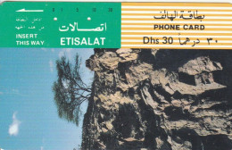 PHONE CARD EMIRATI ARABI (E57.11.6 - Emirati Arabi Uniti