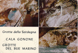 CARTOLINA  CALA GONONE,NUORO,SARDEGNA-GROTTE DELLA SARDEGNA-GROTTE DEL BUE MARINO-MARE,SOLE,VACANZA,VIAGGIATA 1974 - Nuoro