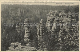 42191184 Rosenthal-Bielatal Felsenpartie Mit Schieferturm Erzgebirge Rosenthal-B - Rosenthal-Bielatal