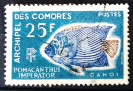 COMORES                         N° 48                         OBLITERE - Used Stamps
