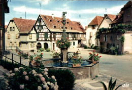 M9 - Dambach-la-Ville (Bas-Rhin) - Place Du Marché - Fontaine De L'Ours Et Maison Schaeffer - Dambach-la-ville