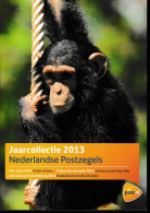 2013 Jaarcollectie PostNL Postfris/MNH**, Official Yearpack - Full Years