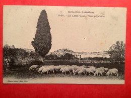 83/ Collection Artistique Le Luc Vue Generale Parc à Moutons - Le Luc