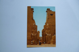 LUXOR  -  LOUXOR  -  The Temple  -     -  EGYPTE -  EGYPT - Luxor