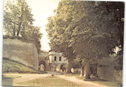 Picquigny- D80 Cour De L'Eglise.  Centenaire Du Traité.  - Picquigny