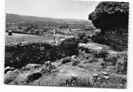 Roquecourbe. Fouilles Sainte Juliane.   Celtes. Archeologie Forges Cultuelles - Roquecourbe