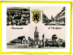 Orchies. Souvenir De.....  Multivues Blason Postée 1963  - Orchies