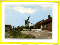 Steenvoorde. Le Moulin Du Nord. - Steenvoorde