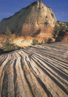 Etats Unis Zion National Parl The Crossbedding Grès De Navajo - Zion